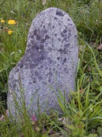 14190071.jpg (67695 bytes)